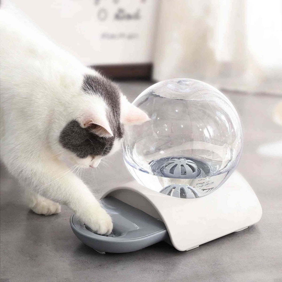 fontaine à chat sans électricité
