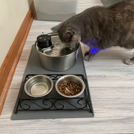 fontaine a eau chat | CORDLESS FONTAINE